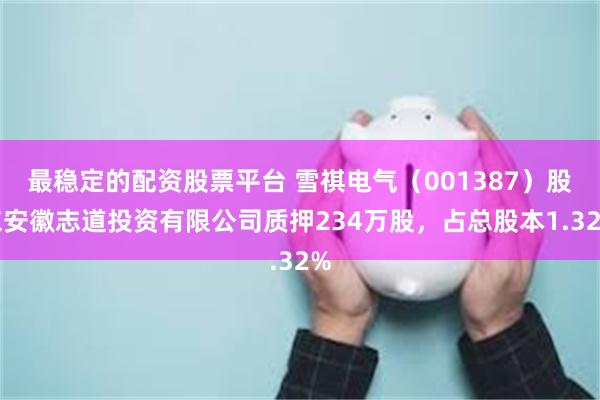 最稳定的配资股票平台 雪祺电气(001387)股东安徽志道投资有限公司质押234万股,占总股本1.32%