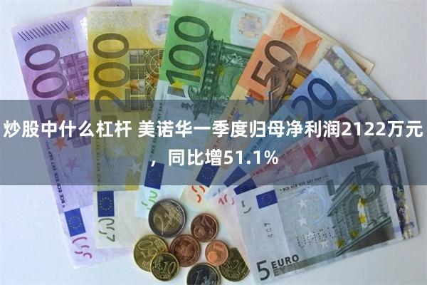炒股中什么杠杆 美诺华一季度归母净利润2122万元，同比增51.1%