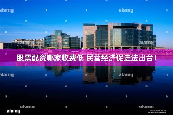股票配资哪家收费低 民营经济促进法出台!