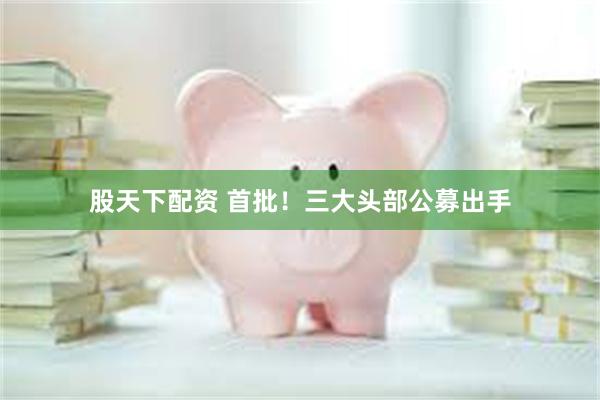 股天下配资 首批!三大头部公募出手