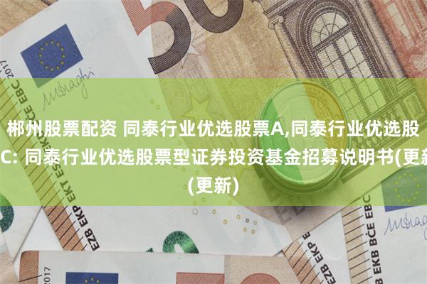 郴州股票配资 同泰行业优选股票A,同泰行业优选股票C: 同泰行业优选股票型证券投资基金招募说明书(更新)