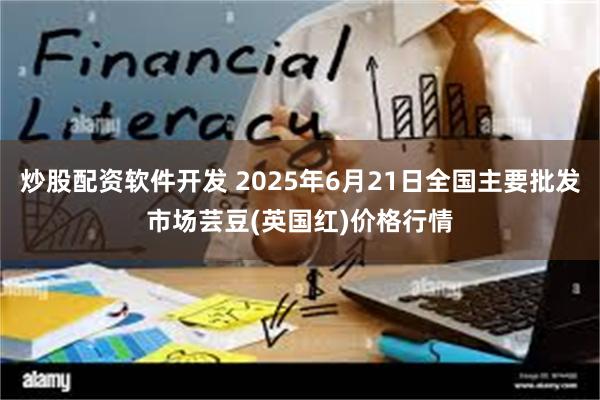 炒股配资软件开发 2025年6月21日全国主要批发市场芸豆(英国红)价格行情