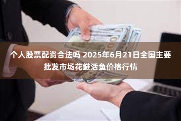 个人股票配资合法吗 2025年6月21日全国主要批发市场花鲢活鱼价格行情