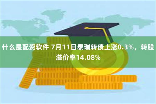 什么是配资软件 7月11日泰瑞转债上涨0.3%,转股溢价率14.08%