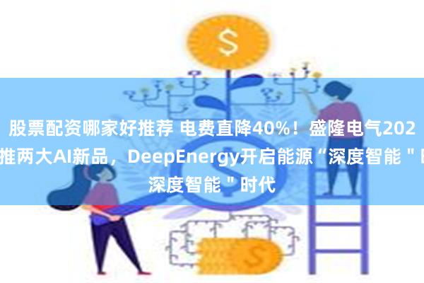 股票配资哪家好推荐 电费直降40%！盛隆电气2025将推两大AI新品，DeepEnergy开启能源“深度智能＂时代