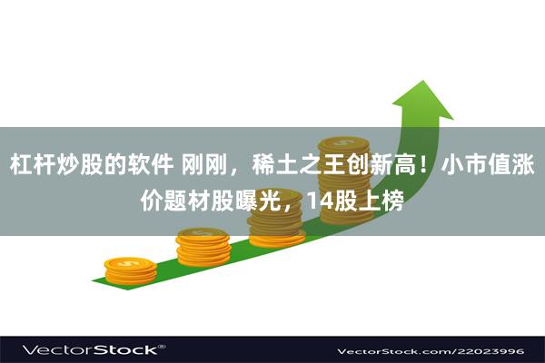 杠杆炒股的软件 刚刚，稀土之王创新高！小市值涨价题材股曝光，14股上榜