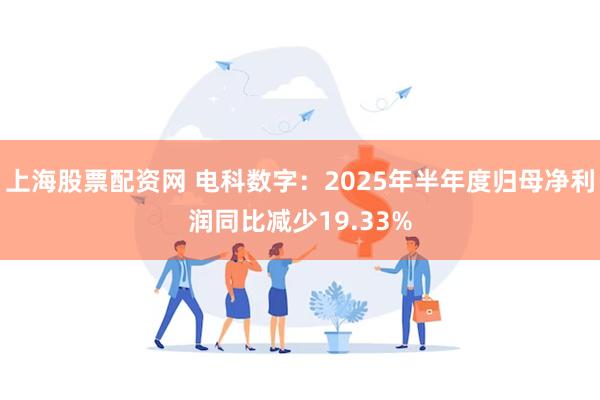 上海股票配资网 电科数字：2025年半年度归母净利润同比减少19.33%