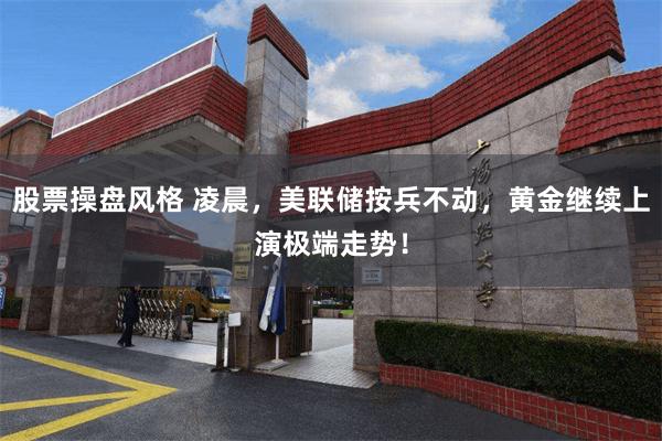 股票操盘风格 凌晨，美联储按兵不动，黄金继续上演极端走势！
