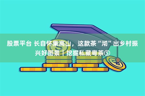 股票平台 长自怀集高山，这款茶“沏”出乡村振兴好图景｜挖掘私藏粤茶⑤