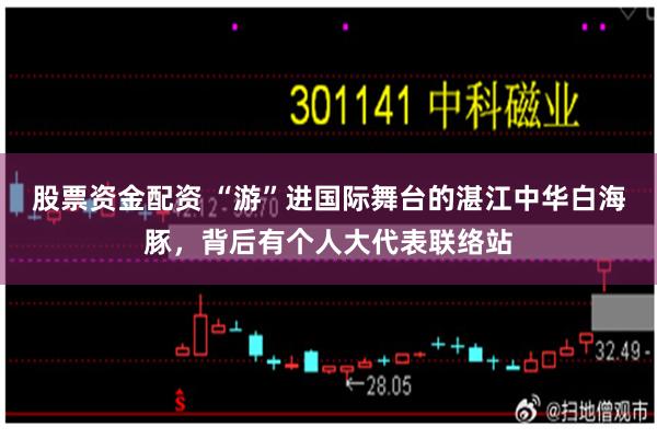 股票资金配资 “游”进国际舞台的湛江中华白海豚，背后有个人大代表联络站