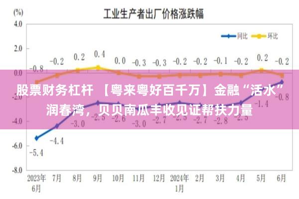 股票财务杠杆 【粤来粤好百千万】金融“活水”润春湾，贝贝南瓜丰收见证帮扶力量