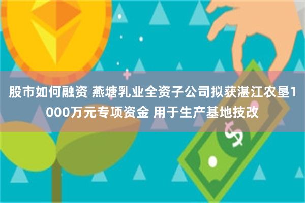 股市如何融资 燕塘乳业全资子公司拟获湛江农垦1000万元专项资金 用于生产基地技改