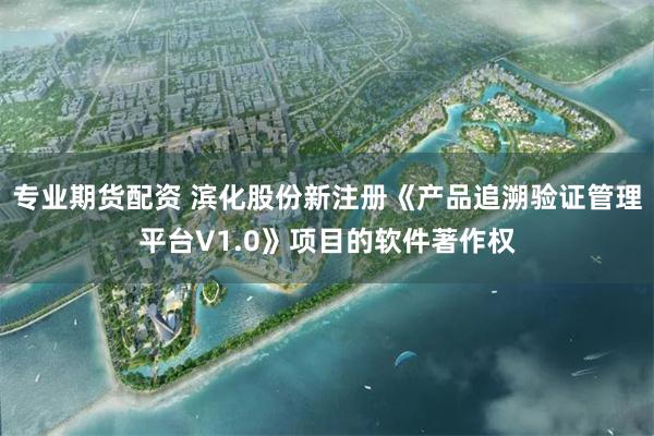 专业期货配资 滨化股份新注册《产品追溯验证管理平台V1.0》项目的软件著作权
