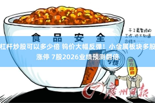 杠杆炒股可以多少倍 钨价大幅反弹！小金属板块多股涨停 7股2026业绩预测翻倍