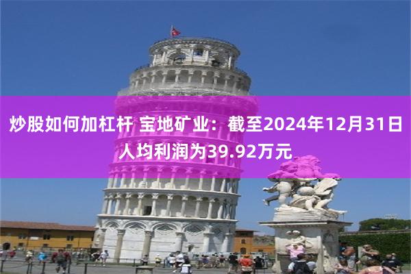 炒股如何加杠杆 宝地矿业：截至2024年12月31日人均利润为39.92万元
