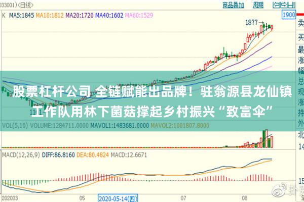 股票杠杆公司 全链赋能出品牌！驻翁源县龙仙镇工作队用林下菌菇撑起乡村振兴“致富伞”