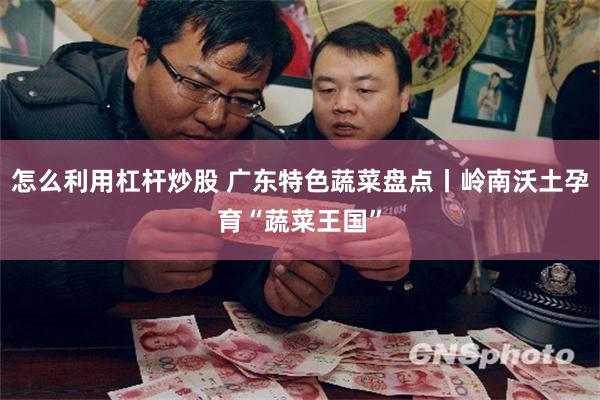 怎么利用杠杆炒股 广东特色蔬菜盘点丨岭南沃土孕育“蔬菜王国”