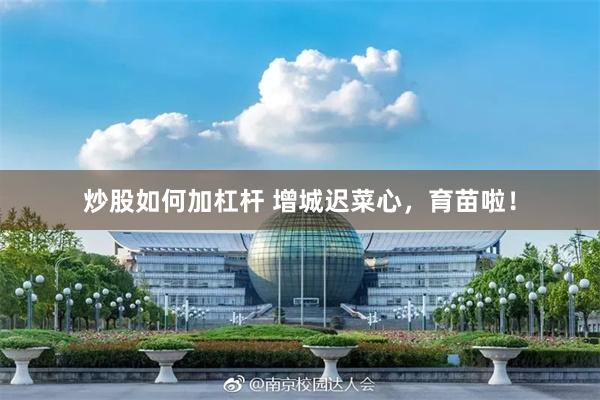 炒股如何加杠杆 增城迟菜心，育苗啦！