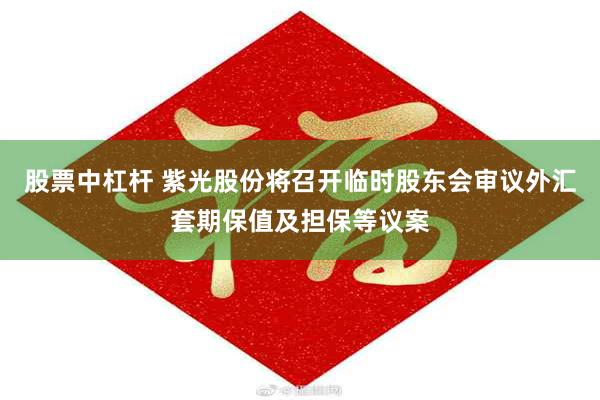 股票中杠杆 紫光股份将召开临时股东会审议外汇套期保值及担保等议案