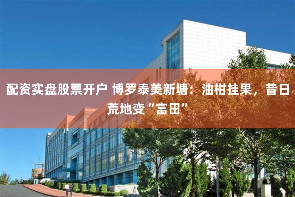 配资实盘股票开户 博罗泰美新塘：油柑挂果，昔日荒地变“富田”