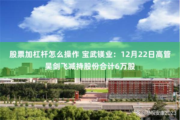 股票加杠杆怎么操作 宝武镁业：12月22日高管吴剑飞减持股份合计6万股