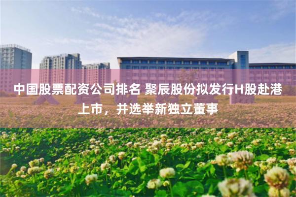 中国股票配资公司排名 聚辰股份拟发行H股赴港上市，并选举新独立董事