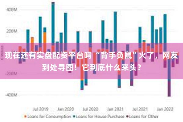 现在还有实盘配资平台吗 “背手负鼠”火了，网友到处寻图！它到底什么来头？