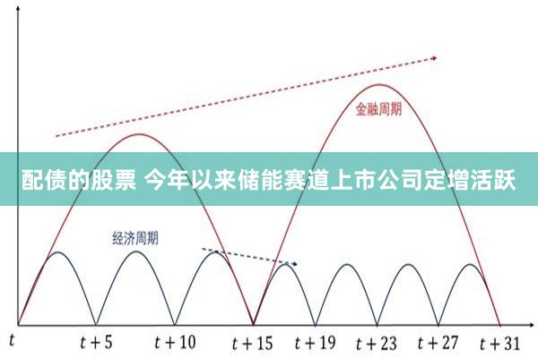 配债的股票 今年以来储能赛道上市公司定增活跃