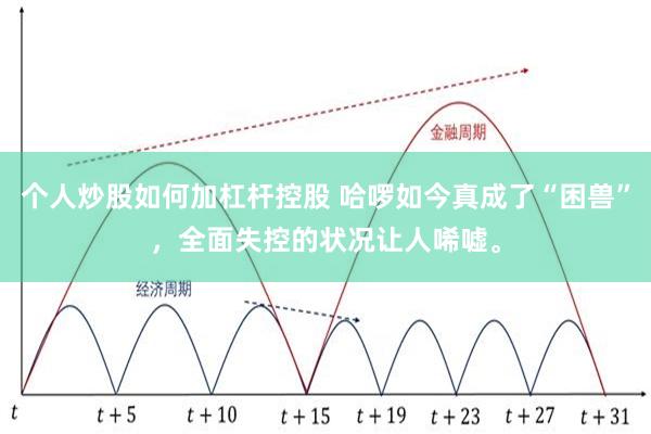个人炒股如何加杠杆控股 哈啰如今真成了“困兽”,全面失控的状况让人唏嘘。