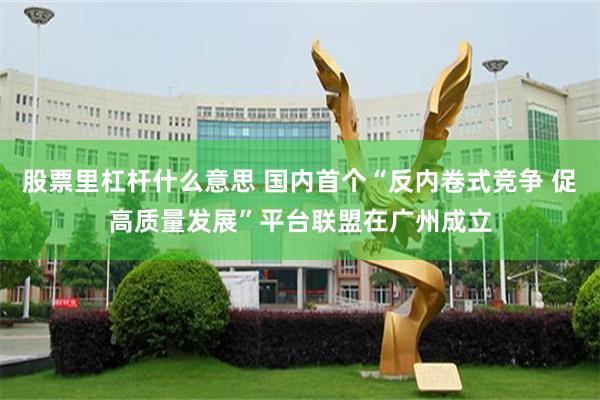 股票里杠杆什么意思 国内首个“反内卷式竞争 促高质量发展”平台联盟在广州成立