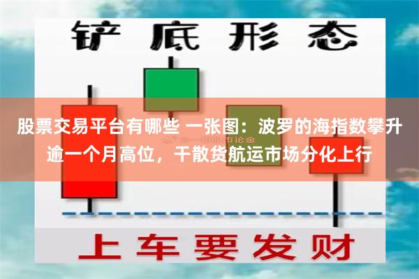 股票交易平台有哪些 一张图:波罗的海指数攀升逾一个月高位,干散货航运市场分化上行