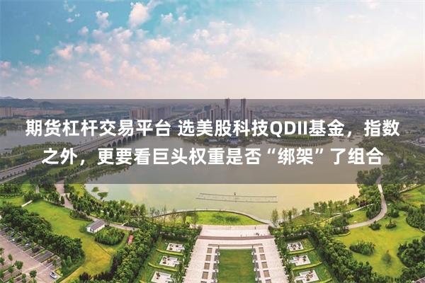 期货杠杆交易平台 选美股科技QDII基金,指数之外,更要看巨头权重是否“绑架”了组合