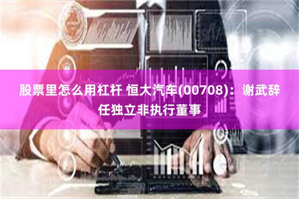 股票里怎么用杠杆 恒大汽车(00708)：谢武辞任独立非执行董事
