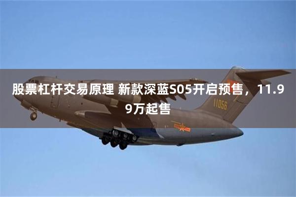 股票杠杆交易原理 新款深蓝S05开启预售，11.99万起售