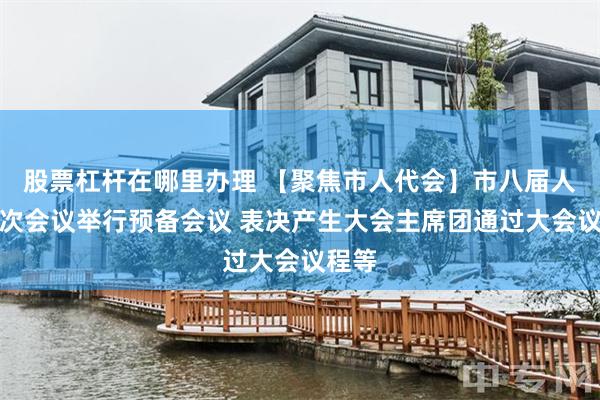 股票杠杆在哪里办理 【聚焦市人代会】市八届人大七次会议举行预备会议 表决产生大会主席团通过大会议程等