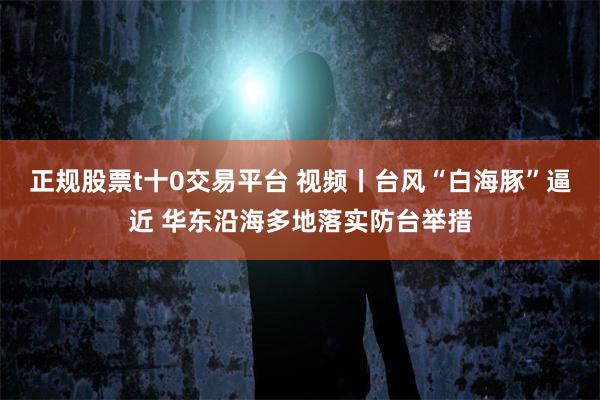 正规股票t十0交易平台 视频丨台风“白海豚”逼近 华东沿海多地落实防台举措