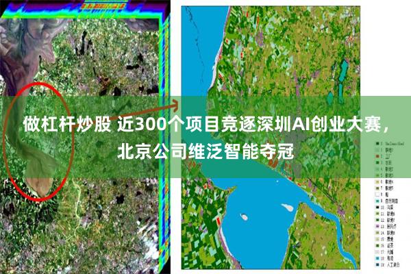 做杠杆炒股 近300个项目竞逐深圳AI创业大赛，北京公司维泛智能夺冠