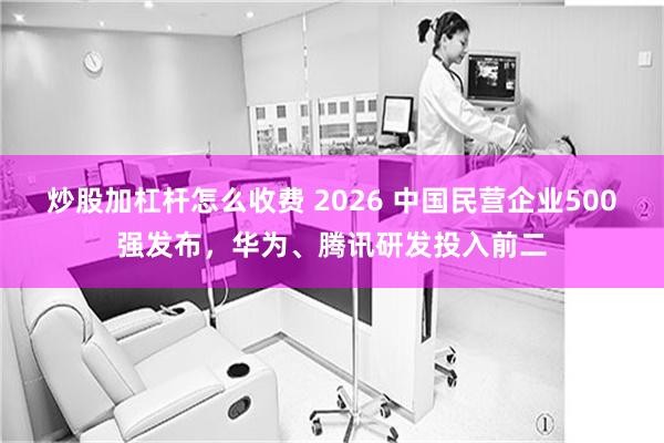 炒股加杠杆怎么收费 2026 中国民营企业500强发布，华为、腾讯研发投入前二