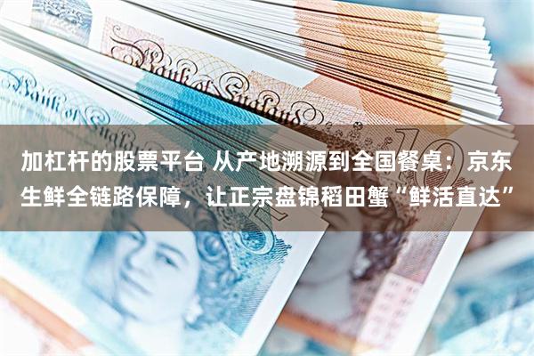 加杠杆的股票平台 从产地溯源到全国餐桌：京东生鲜全链路保障，让正宗盘锦稻田蟹“鲜活直达”