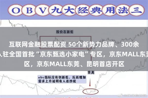 互联网金融股票配资 50个新势力品牌、300余个独家系列产品入驻全国首批“京东甄选小家电”专区，京东MALL东莞、昆明首店开区
