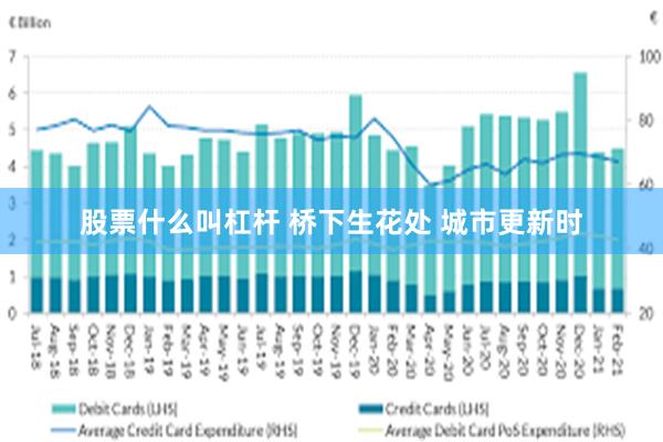 股票什么叫杠杆 桥下生花处 城市更新时